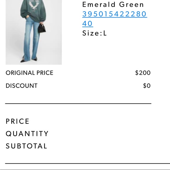 Anine bing ash hoodie faded emerald green size L - Picture 4 of 6